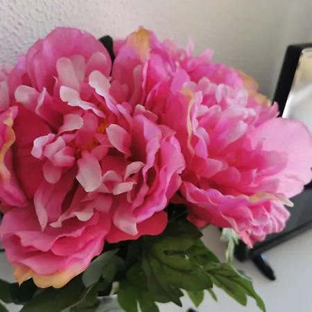 Vale Formoso Apartament *