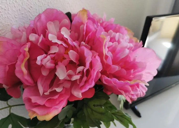 Vale Formoso Lejlighed *